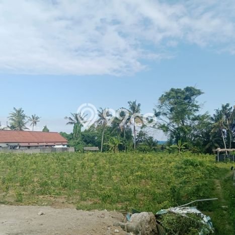 Untuk Dijual Tanah 3040m2 di Ketewel, Gianyar Untuk Dijual Tanah 3040m2 di Ketewel, Gianyar