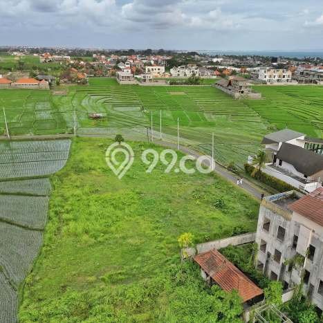 Tanah Dijual di Badung Seluas 3080m2 Strategis Tanah Dijual di Badung Seluas 3080m2 Strategis