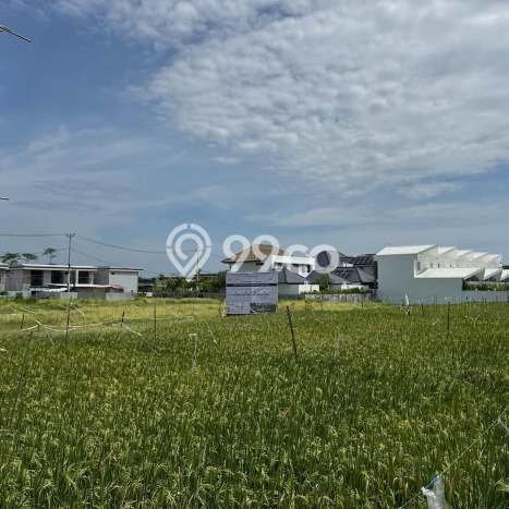 Untuk Dijual Tanah di Badung, Luas 1220m2 SHM Untuk Dijual Tanah di Badung, Luas 1220m2 SHM