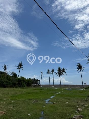 Jarang Ada! Tanah di Blahbatuh Punya Luas 5225m2 SHM Jarang Ada! Tanah di Blahbatuh Punya Luas 5225m2 SHM