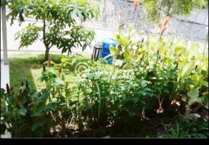 HUNIAN IMPIAN! Rumah di BSD The Savia, 2 KT, Free Banjir, LT 72m² Bangunan 64m² HUNIAN IMPIAN! Rumah di BSD The Savia, 2 KT, Free Banjir, LT 72m² Bangunan 64m²
