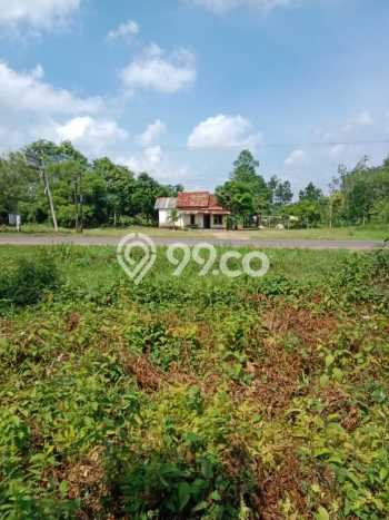 Jarang Ada! Tanah di Banyuasin III Punya Luas 19105m2 SHM Jarang Ada! Tanah di Banyuasin III Punya Luas 19105m2 SHM