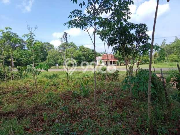 Jarang Ada! Tanah di Banyuasin III Punya Luas 19105m2 SHM Jarang Ada! Tanah di Banyuasin III Punya Luas 19105m2 SHM
