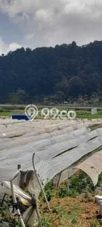Tanah Dijual di Tabanan Seluas 22035m2 Strategis Tanah Dijual di Tabanan Seluas 22035m2 Strategis