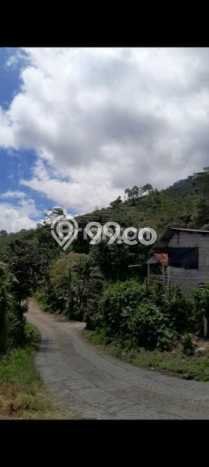 Lahan Kosong Dijual di Buleleng dengan Area 2500m2 Lahan Kosong Dijual di Buleleng dengan Area 2500m2