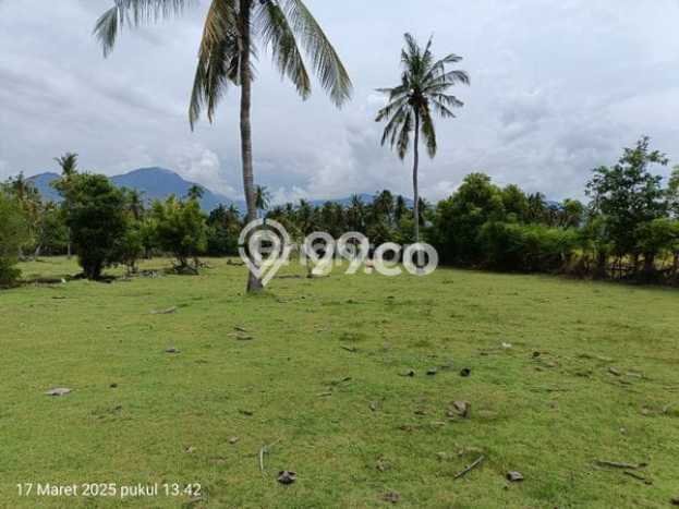Jarang Ada! Tanah di Melaya Punya Luas 7800m2 SHM Jarang Ada! Tanah di Melaya Punya Luas 7800m2 SHM