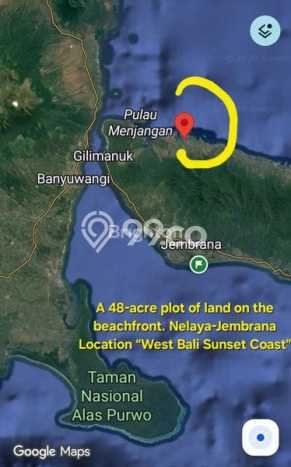 Jarang Ada! Tanah di Melaya Punya Luas 7800m2 SHM Jarang Ada! Tanah di Melaya Punya Luas 7800m2 SHM