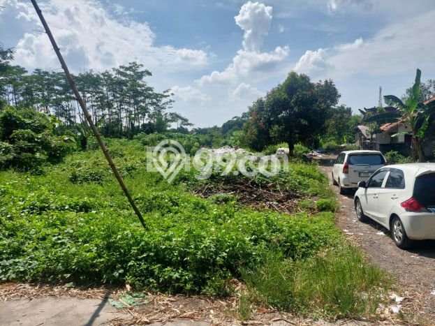 Kavling Tanah Dijual di Mranggen Demak Spesifikasi 111m2 Kavling Tanah Dijual di Mranggen Demak Spesifikasi 111m2