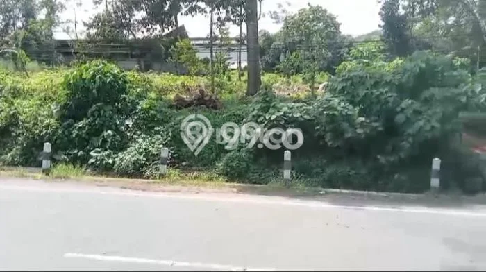 Kavling Tanah Dijual di Limpung Batang Spesifikasi 110000m2 Kavling Tanah Dijual di Limpung Batang Spesifikasi 110000m2