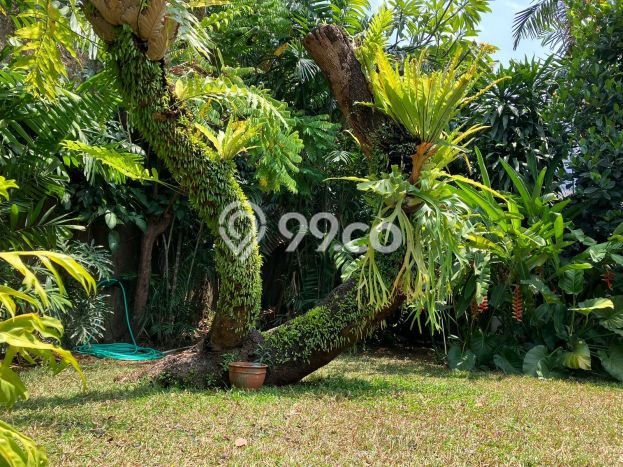 Hunian Elit LB 420m2 Siap Huni Desain Elegan di Mampang, Jakarta Selatan Hunian Elit LB 420m2 Siap Huni Desain Elegan di Mampang, Jakarta Selatan