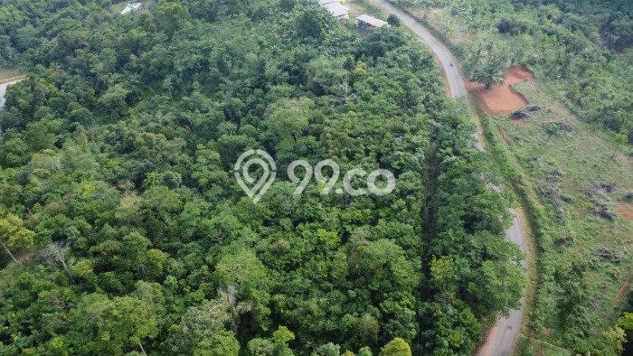 Tanah Kavling Dijual di Gunungkencana, Lebak dengan Luas Tanah 20000m2 Tanah Kavling Dijual di Gunungkencana, Lebak dengan Luas Tanah 20000m2