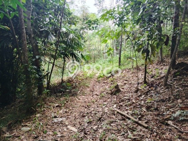 Tanah Kavling Dijual di Gunungkencana, Lebak dengan Luas Tanah 20000m2 Tanah Kavling Dijual di Gunungkencana, Lebak dengan Luas Tanah 20000m2