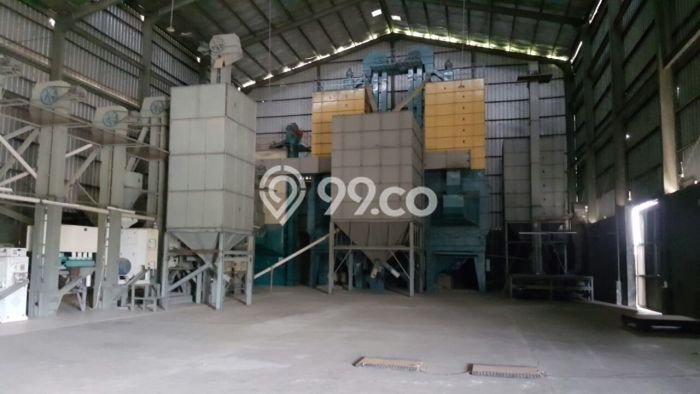 Gudang Dijual Lokasi Stratagis di Panimbang Pandeglang Cocok untuk Bisnis Gudang Dijual Lokasi Stratagis di Panimbang Pandeglang Cocok untuk Bisnis