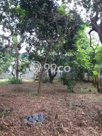 Tanah Kavling Dijual di Bekasi dengan Spesifikasi 1060m2 Tanah Kavling Dijual di Bekasi dengan Spesifikasi 1060m2
