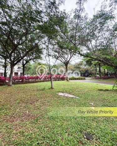 Tanah Kavling Dijual di BSD City, Tangerang dengan Luas Tanah 217m2 Tanah Kavling Dijual di BSD City, Tangerang dengan Luas Tanah 217m2