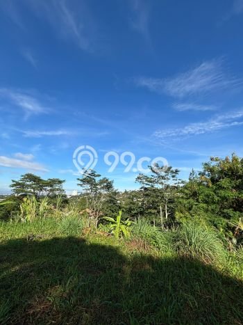 Tanah Kavling Dijual di Bandung dengan Spesifikasi 885m2 Tanah Kavling Dijual di Bandung dengan Spesifikasi 885m2