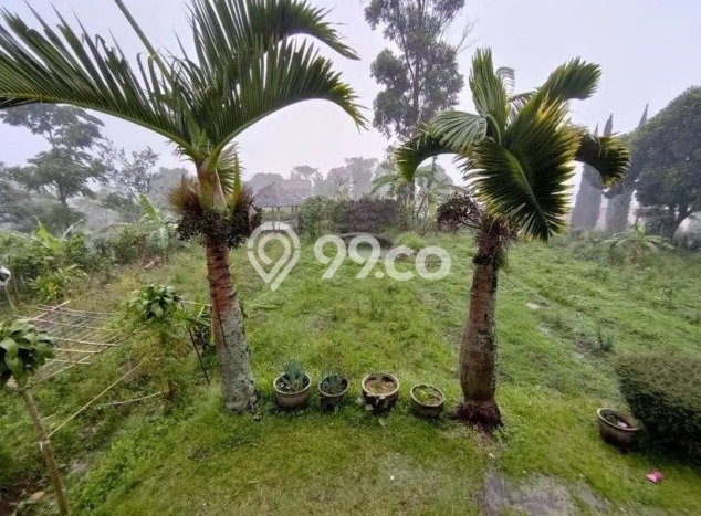 Tanah Dijual di Bandung Seluas 3950m2 Strategis Tanah Dijual di Bandung Seluas 3950m2 Strategis