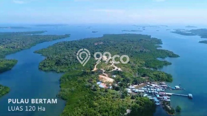 Dijual Tanah Lokasi Batam Centre, Batam Seluas 1.2e+06m2 Dijual Tanah Lokasi Batam Centre, Batam Seluas 1.2e+06m2