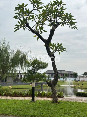 Rumah Luxury Modern Tanpa Renovasi di Summarecon Bekasi Bekasi Rumah Luxury Modern Tanpa Renovasi di Summarecon Bekasi Bekasi