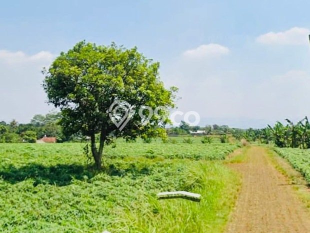 Lahan Kosong Dijual di Kemang, Bogor, Luas 3000m2 Area Strategis Lahan Kosong Dijual di Kemang, Bogor, Luas 3000m2 Area Strategis