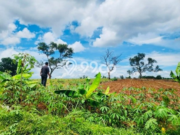 Lahan Kosong Dijual di Kemang, Bogor, Luas 3000m2 Area Strategis Lahan Kosong Dijual di Kemang, Bogor, Luas 3000m2 Area Strategis