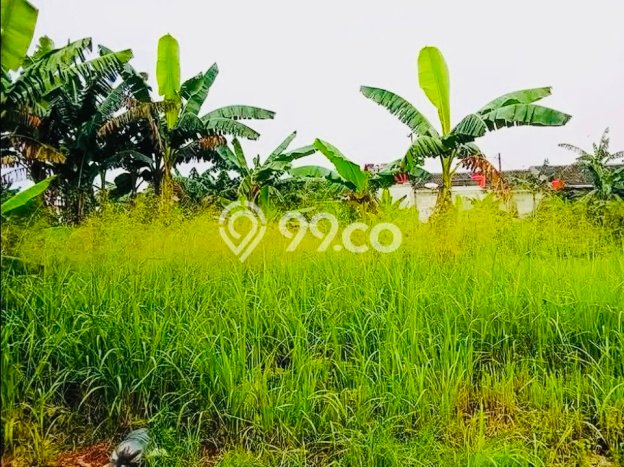 Dijual Tanah Lokasi Bantar Gebang, Bekasi Seluas 3800m2 Dijual Tanah Lokasi Bantar Gebang, Bekasi Seluas 3800m2