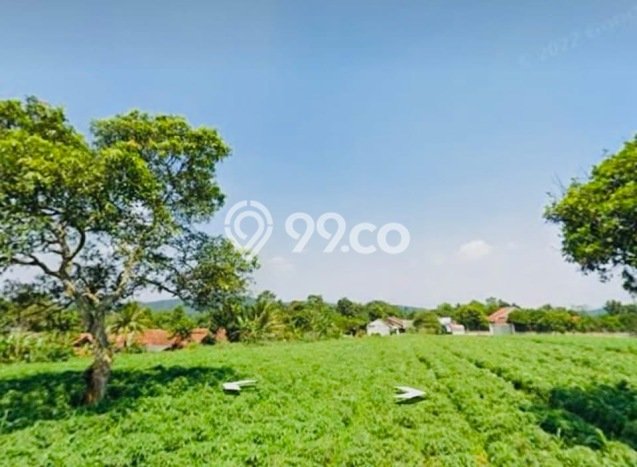 Lahan Kosong Dijual di Kemang, Bogor, Luas 3000m2 Area Strategis Lahan Kosong Dijual di Kemang, Bogor, Luas 3000m2 Area Strategis