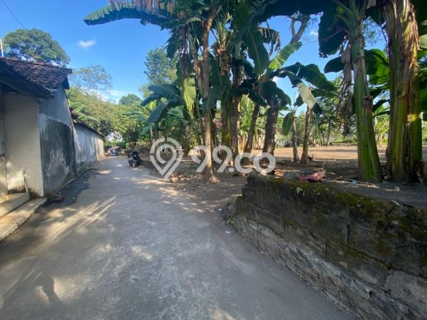 Rumah Terjangkau Dijual di Manisrenggo, Klaten Harga Rp 350 Juta Rumah Terjangkau Dijual di Manisrenggo, Klaten Harga Rp 350 Juta