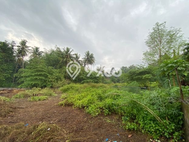Rumah Budget Favorit Dijual Area Tempel LT 80m2 Rumah Budget Favorit Dijual Area Tempel LT 80m2