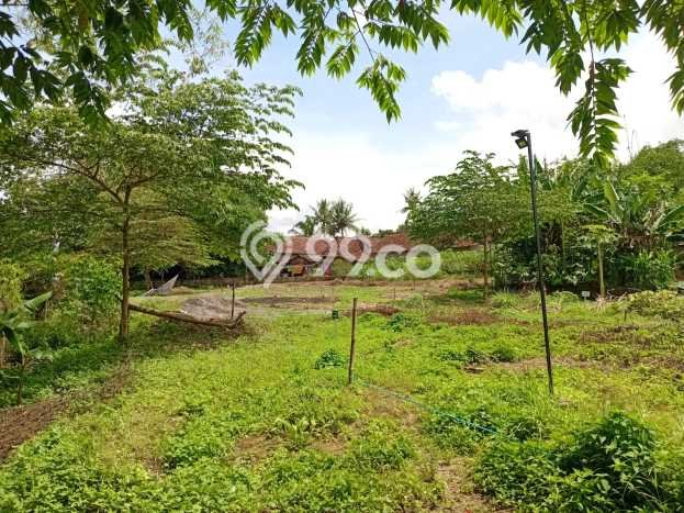 Jual Rumah Murah Meriah Turi Punya 2 KT & LT 100m2 Jual Rumah Murah Meriah Turi Punya 2 KT & LT 100m2