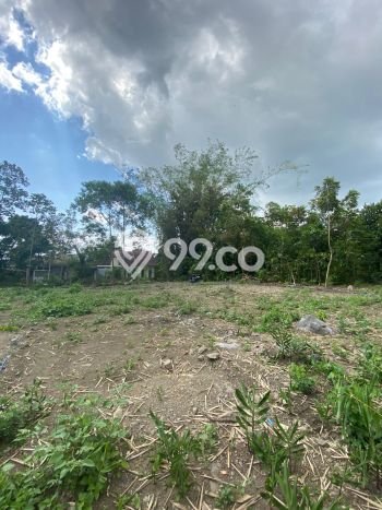 Lahan Investasi Lokasi Sleman Sleman - Lahan Investasi Lokasi Sleman Sleman -