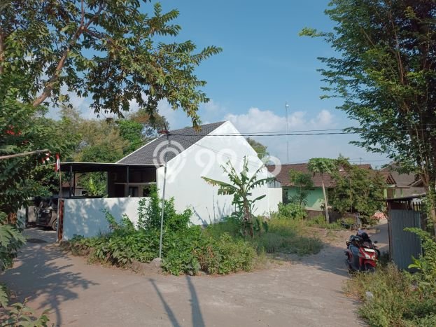 Jual Rumah Strategis Bagus Punya 3 KT di Sleman Sleman SHM Jual Rumah Strategis Bagus Punya 3 KT di Sleman Sleman SHM