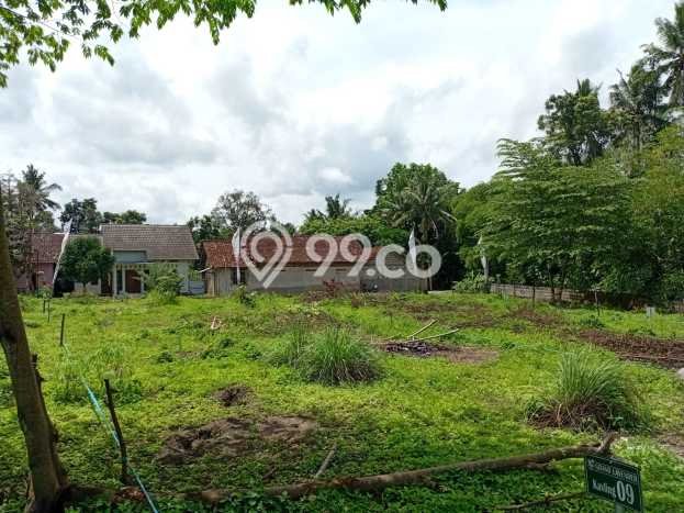 Jual Rumah Murah di Seyegan Sleman Harga Rp 322 Juta LT 80m2 Jual Rumah Murah di Seyegan Sleman Harga Rp 322 Juta LT 80m2