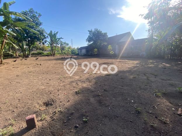 Rumah Terjangkau Dijual di Manisrenggo, Klaten Harga Rp 350 Juta Rumah Terjangkau Dijual di Manisrenggo, Klaten Harga Rp 350 Juta