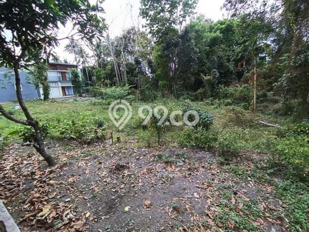 Tanah Dijual di Sleman Seluas 181m2 Strategis Tanah Dijual di Sleman Seluas 181m2 Strategis