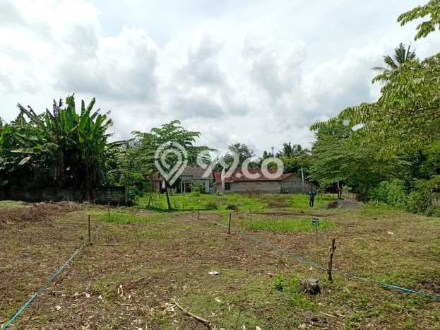 Jual Rumah Murah di Seyegan Sleman Harga Rp 322 Juta LT 80m2 Jual Rumah Murah di Seyegan Sleman Harga Rp 322 Juta LT 80m2