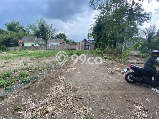 Untuk Dijual Tanah di Sleman Sleman Luas 113m2 SHM Untuk Dijual Tanah di Sleman Sleman Luas 113m2 SHM
