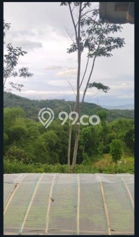 Tanah Area Berkembang Kawasan Sindangkerta, Luas 8692m², Dekat ke Fasilitas Umum Tanah Area Berkembang Kawasan Sindangkerta, Luas 8692m², Dekat ke Fasilitas Umum
