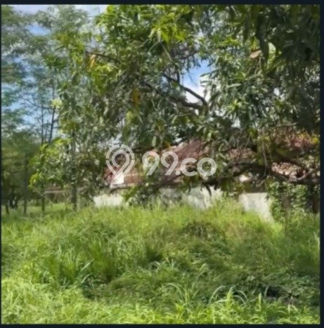 Tanah di Nusa Dua, Luas 425m2m², Area Strategis, Kawasan Nyaman, Bebas Banjir Tanah di Nusa Dua, Luas 425m2m², Area Strategis, Kawasan Nyaman, Bebas Banjir