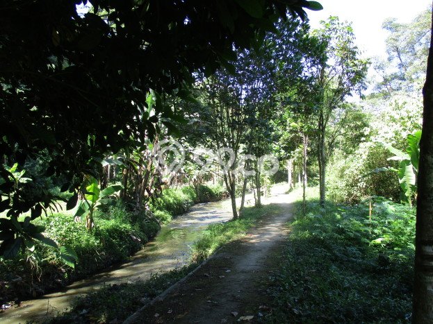 Tanah di Lembang, Bandung Barat Luas 3165m2 Dijual Segera Tanah di Lembang, Bandung Barat Luas 3165m2 Dijual Segera