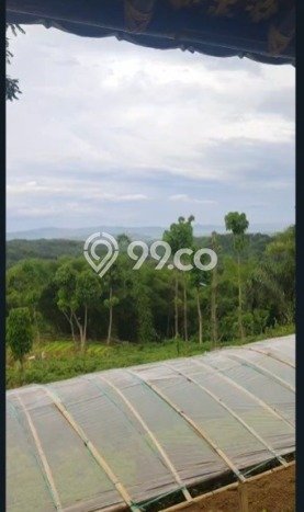 Tanah Area Berkembang Kawasan Sindangkerta, Luas 8692m², Dekat ke Fasilitas Umum Tanah Area Berkembang Kawasan Sindangkerta, Luas 8692m², Dekat ke Fasilitas Umum