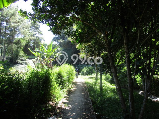 Tanah di Lembang, Bandung Barat Luas 3165m2 Dijual Segera Tanah di Lembang, Bandung Barat Luas 3165m2 Dijual Segera