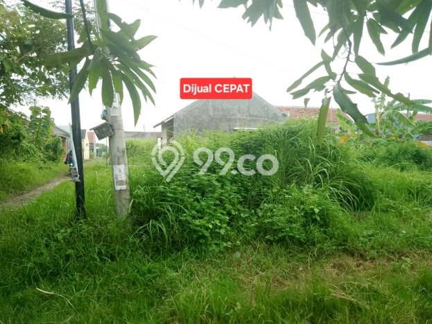 Kavling Tanah Dijual di Tengah Tani Cirebon Spesifikasi 127m2 Kavling Tanah Dijual di Tengah Tani Cirebon Spesifikasi 127m2