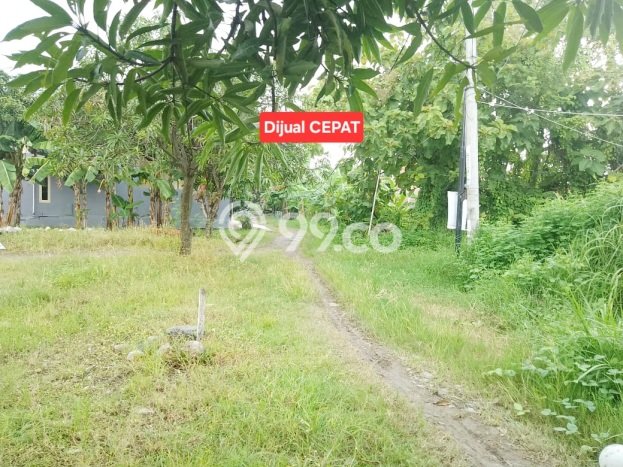 Kavling Tanah Dijual di Tengah Tani Cirebon Spesifikasi 127m2 Kavling Tanah Dijual di Tengah Tani Cirebon Spesifikasi 127m2