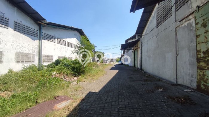 Unit Gudang disewakan di Waru Sidoarjo dengan LT 2000m2 / LB 1200m2 Unit Gudang disewakan di Waru Sidoarjo dengan LT 2000m2 / LB 1200m2