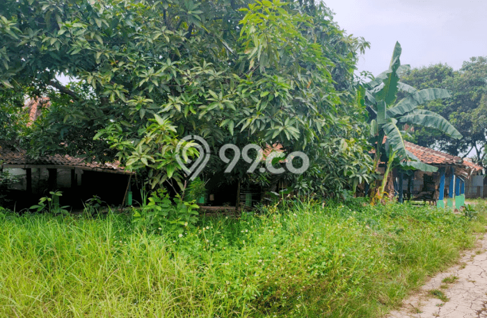 Jarang Ada! Tanah Kavling Disewakan di Bekasi 1100m2 Jarang Ada! Tanah Kavling Disewakan di Bekasi 1100m2