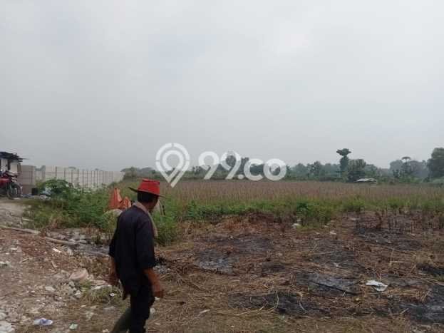 Untuk Dijual Tanah di Karawang Barat Karawang Luas 10000m2 SHM Untuk Dijual Tanah di Karawang Barat Karawang Luas 10000m2 SHM
