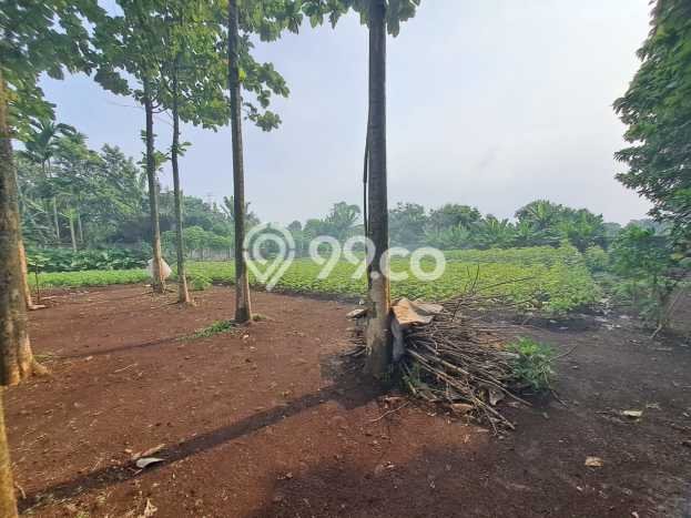 Tanah untuk Dijual di Serpong Tangerang Selatan Luas 1860m2 Tanah untuk Dijual di Serpong Tangerang Selatan Luas 1860m2