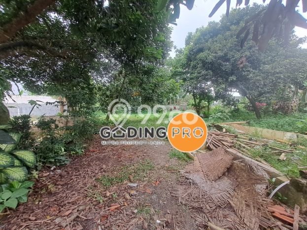 Tanah untuk Dijual di Gunung Sindur Bogor Luas 2510m2 Tanah untuk Dijual di Gunung Sindur Bogor Luas 2510m2