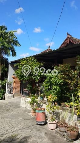 Rumah Modern 3 KT di Padangsambian Kaja Denpasar Unfurnished Rumah Modern 3 KT di Padangsambian Kaja Denpasar Unfurnished